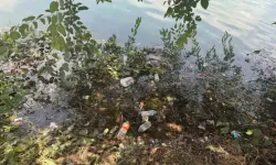 Seyhan Nehri Atıkla Kaplandı! Adana’nın Gözde Noktasında Çevre Kirliliği Tepki Çekti