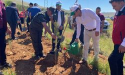 Afşin’de Tütünsüz Yaşam İçin Fidan Dikimi Gerçekleştirildi
