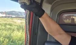 Bahçede Yılan Alarmı! Evinin Önünde Gören Hemen İtfaiyeyi Aradı