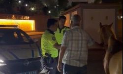 Kaçan Atları Trafik Polisleri Sahibine Teslim Etti