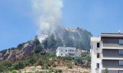 Kahramanmaraş'ta Orman Yangını Kısa Sürede Söndürüldü