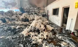 Fabrika Yangını: Ekipler Alevleri Kontrol Altına Aldı