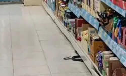 Zincir Markette Yılan Paniği