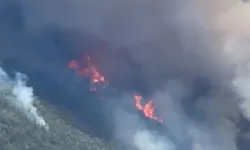 Manisa ve Muğla’da Orman Yangını Son Durum: Yangınlar Kontrol Altına Alındı