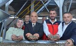 Afşin’de Kırsal Kalkınma Hamlesi: Nohut İşleme Tesisi Ziyaret Edildi