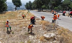 Büyükşehir’den “Şehrimi Seviyorum, Doğayı Koruyorum” Etkinliğiyle Güçlü Mesaj