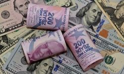 Dolar durdurulamıyor! 47 liraya doğru gidiyor