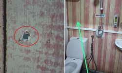 Duş almaya girdiğinde fark etti! Görüntü ortalığı fena karıştırdı