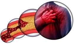 Portakalı Tahtından Eden Meyve! C Vitamini Deposu, Kolajen Üretimini Destekliyor ve Kalp Sağlığına Katkı Sağlıyor