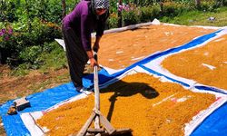 İmece Geleneği Sürüyor: Bulgur Kazanları Yeniden Yandı