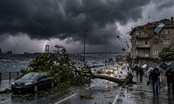 İstanbul'da korkutan fırtına! Hava bir anda karardı, ağaçlar devrildi, çatılar uçtu