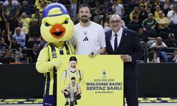 Sertaç Şanlı, Fenerbahçe'ye geri döndü