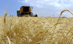 Türkiye, tarımsal hasılada geçen yıl 83 milyar doları aşarak rekor kırdı