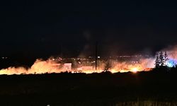 Afşin'de Otluk Alan Yangını Korkuttu