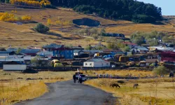 Göle'de Korkutan Deprem