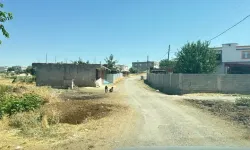 Diyarbakır'da 3 yaşındaki çocukta kuduz alarmı! Kedi temasından 4 ay sonra test pozitif çıktı