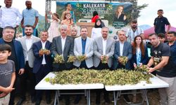 Başkan Toptaş, Kahramanmaraş’ın Karadeniz’i Kalekaya’da Fındık Festivali’ne katıldı