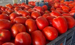 Bursa'da meraya dökülen domateslerle ilgili gerçek ortaya çıktı! Ticaret Bakanlığı açıkladı