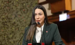 Hülya Şimşek Kimdir, Neden Tutuklandı? Şapkalılar Dosyası Nedir?