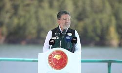 Bakan Yumaklı duyurdu: 3 ildeki orman yangını kontrol altında! Susurluk’ta mücadele sürüyor