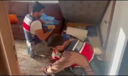 Vize Randevusu Çetesine Darbe! 37 Şüpheli Tutuklandı
