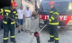 Sanayi Sitesinde Yılan Paniği! Zehirli Engerek İtfaiyeyi Harekete Geçirdi