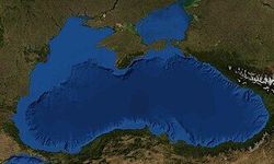 Son Dakika Karadeniz’de Deprem! İşte Veriler