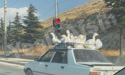 Bu Görüntü Sosyal Medyada Gündem Oldu