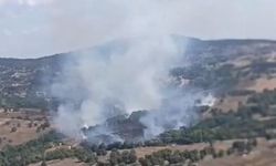 Bursa'da çıkan orman yangınına müdahale ediliyor