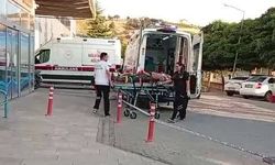 Ceviz Ağacından Düşen Adam Ağır Yaralandı