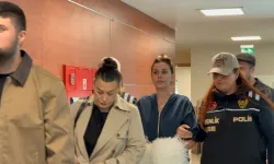 Dilan Polat ‘Cumhurbaşkanına hakaret’ suçlamasıyla tutuklandı
