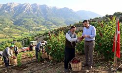 Kahramanmaraş’ta Sumak Bahçesi Projesi Başlıyor