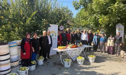 11 Ayva Üreticisine Hasat Desteği: 260 Ekipman Dağıtıldı