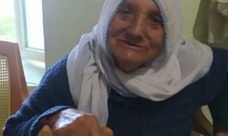 Emine Doğan Vefat Etti