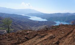 Kahramanmaraş’ta Yanan Ormanlara 1 Milyon Fidan Dikilecek