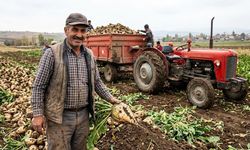 Pancar Alım Fiyatı Açıklandı