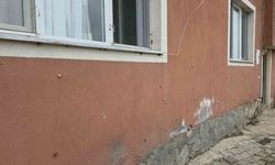 Depremden Sonra Ortaya Çıktı! Hatay’da Salyangoz İstilası Evleri ve Bahçeleri Sardı