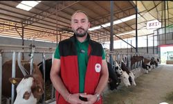 Şap Hastalığına Karşı Uyarı: Hayvanlarda Bu Belirtilere Dikkat!