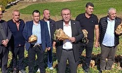Ünal Ateş’ten Şeker Pancarı Fiyatına Tepki: “3 Bin 700 Lira Çiftçiyi Kurtarmıyor”