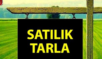 Elbistan'da 3.970 M² Tarla Mahkemeden Satılık