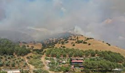 Aydın'da ziraat alanı ve makilikteki yangına müdahale ediliyor