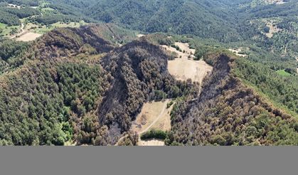 Bolu Göynük'teki orman yangınında 35 hektarlık alan zarar gördü