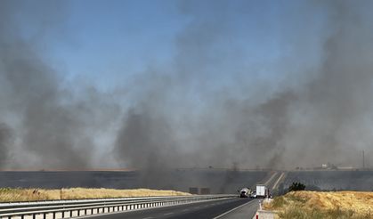 Edirne'de geniş alanda etkili olan anız yangınına müdahale ediliyor
