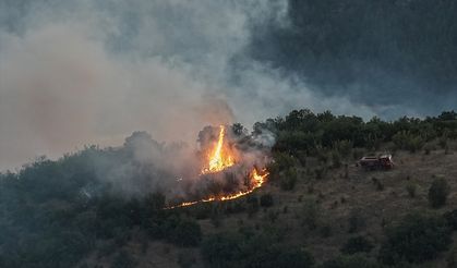 Bursa-Balıkesir sınırında çıkan orman yangınına müdahale ediliyor