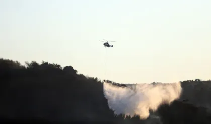Çanakkale'nin Ayvacık ilçesinde çıkan orman yangını kontrol altına alındı