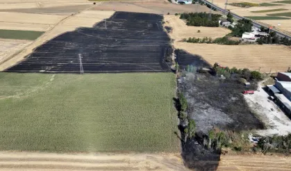 Edirne'de buğday tarlasında çıkan yangın söndürüldü