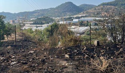 Alanya'da otluk ve çalılık alanda çıkan yangın söndürüldü