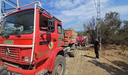 Bursa'nın Mudanya ilçesinde ormanlık alanda çıkan yangın söndürüldü