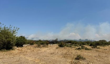 Bursa'da çıkan orman yangını kontrol altına alındı