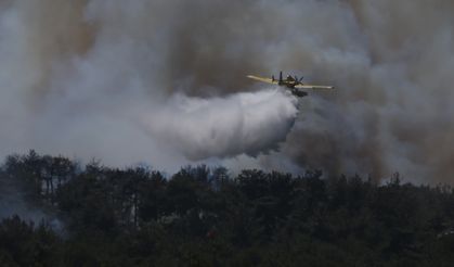 Çanakkale'de çıkan orman yangınına müdahale ediliyor